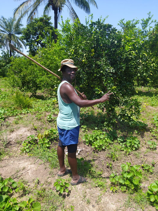 Foto 4 de proyectos y viajes de Baolar en Casamance