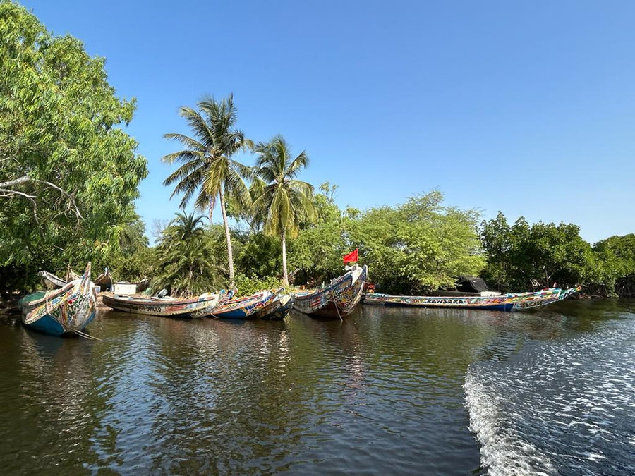Paisaje de Casamance